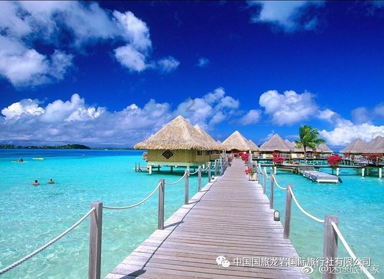 一起捕鱼吧